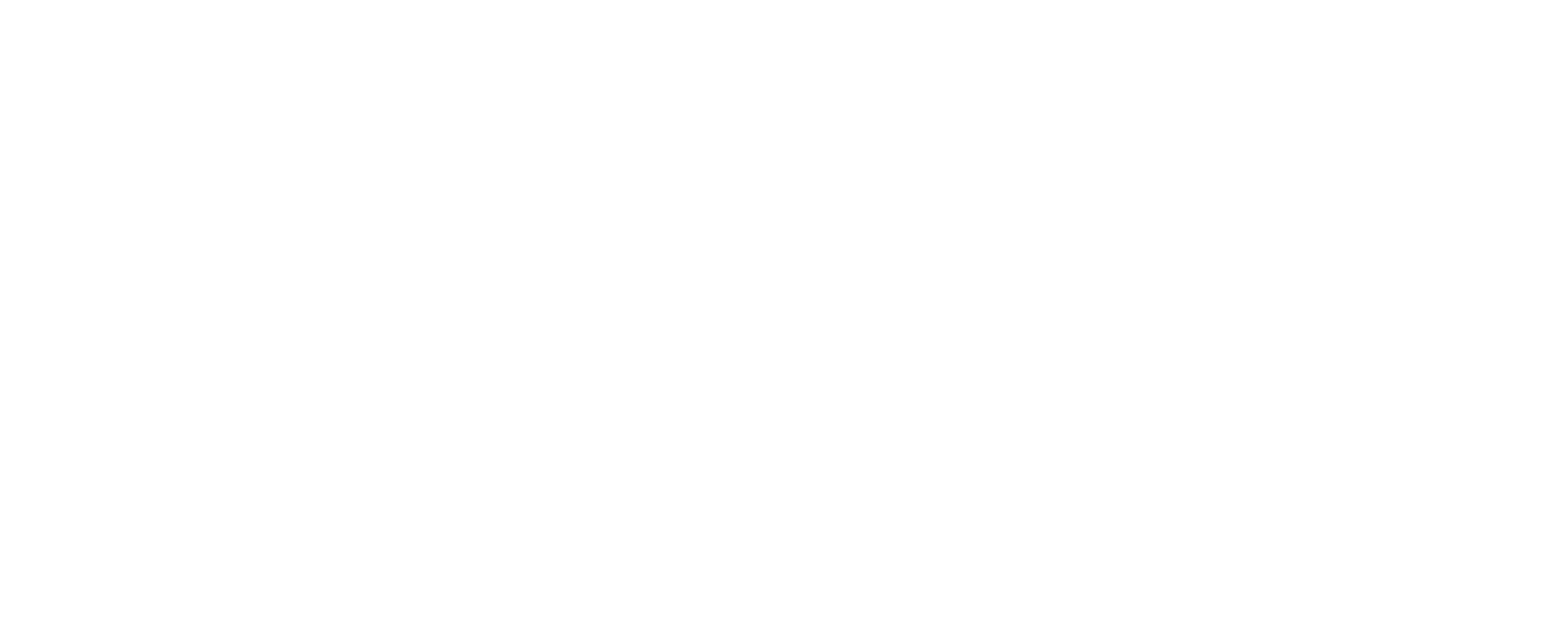 BondFex logo